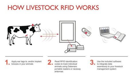 rfid tagging animals marine life|livestock tagging system.